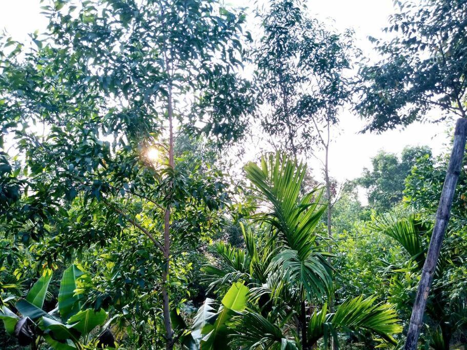 Kamanabillu Homestay, For Jog Falls Travellers Siddapur Экстерьер фото